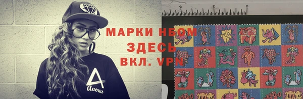 сатива Ростов