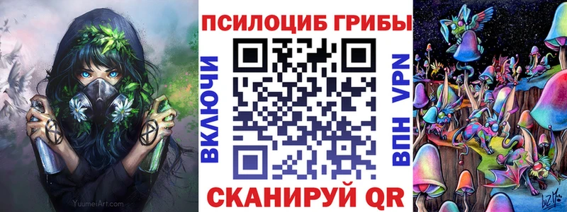 Псилоцибиновые грибы Psilocybine cubensis  закладка  Кириллов 